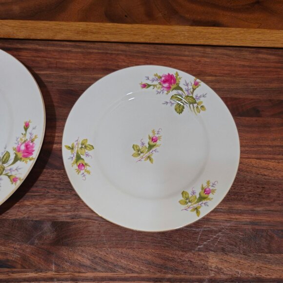 Thames Porcelain China 7" and 6" "Moss Rose" replacement plates - Picture 3 of 5